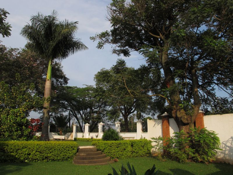 Birding through Uganda