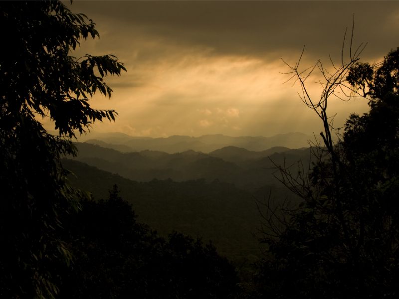 Kenya Maasai Mara and Uganda Bwindi - Fly In (7 Days)